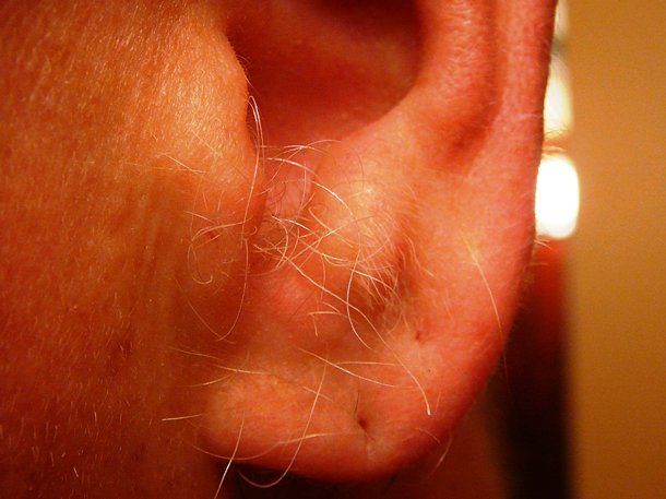 Questi record del mondo vi faranno impazzire! Quotes