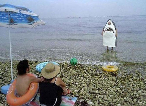 Queste foto imbarazzanti in spiaggia che sono stati catturati al momento giusto Quotes   