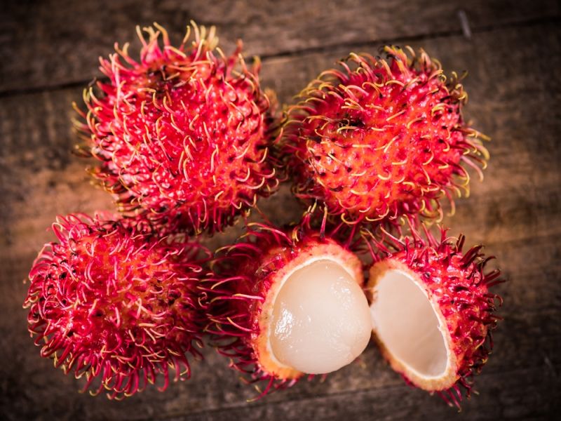 рамбутан и личи отличие. рамбутан и личи. рамбутан фрукт и личи. личи рамбутан лонган. рамбутан и личи разница.