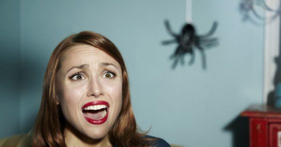 11 semplici modi per uccidere un ragno, questa piccola creatura che odiamo tutti Quotes   