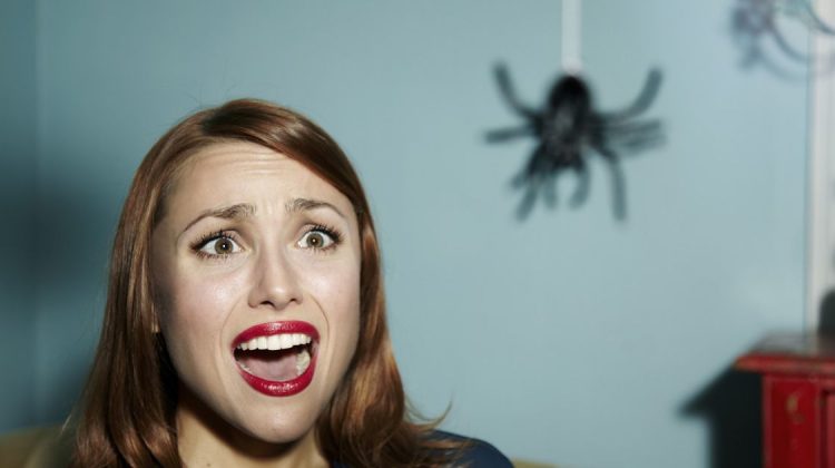 11 semplici modi per uccidere un ragno, questa piccola creatura che odiamo tutti Quotes   